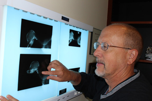 Dr. Barstad reviews referral radiographs
